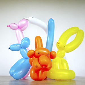 Balloon Animal Kit-Beginner Balloon Twisting kit Create 30 Exacting Sculptures - 100 Balloons, Pump, DVD, Instruction Book